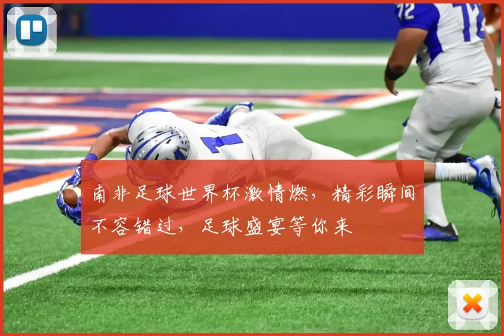 南非足球世界杯激情燃，精彩瞬间不容错过，足球盛宴等你来