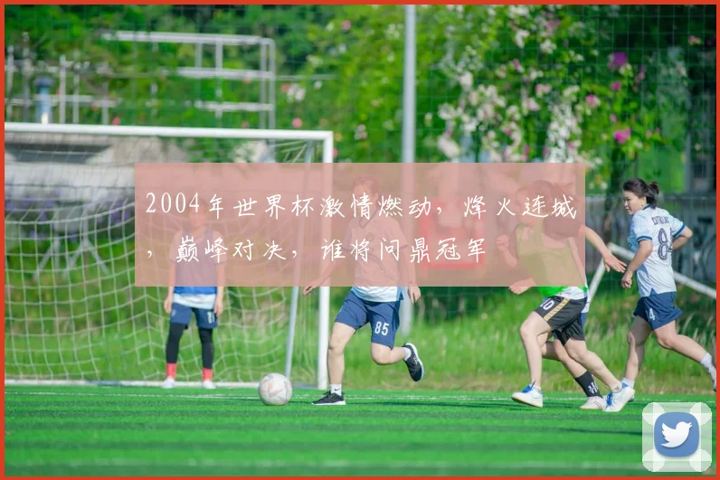 2004年世界杯激情燃动，烽火连城，巅峰对决，谁将问鼎冠军