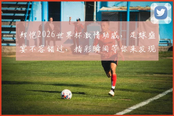郑恺2026世界杯激情助威，足球盛宴不容错过，精彩瞬间等你来发现