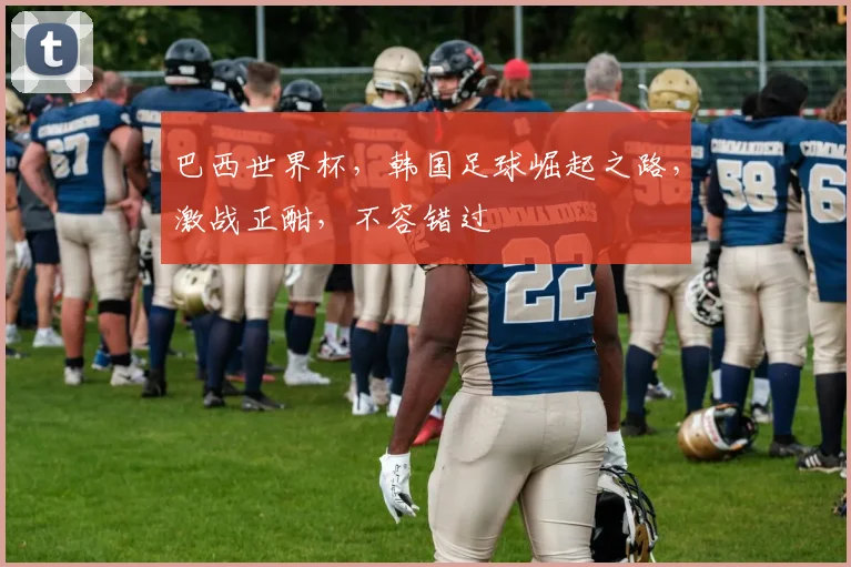 巴西世界杯，韩国足球崛起之路，激战正酣，不容错过