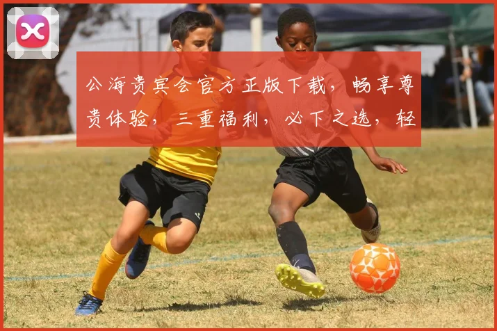 公海贵宾会官方正版下载，畅享尊贵体验，三重福利，必下之选，轻松畅游